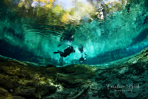 5 Amazing Florida Natural Springs to Cool Off In